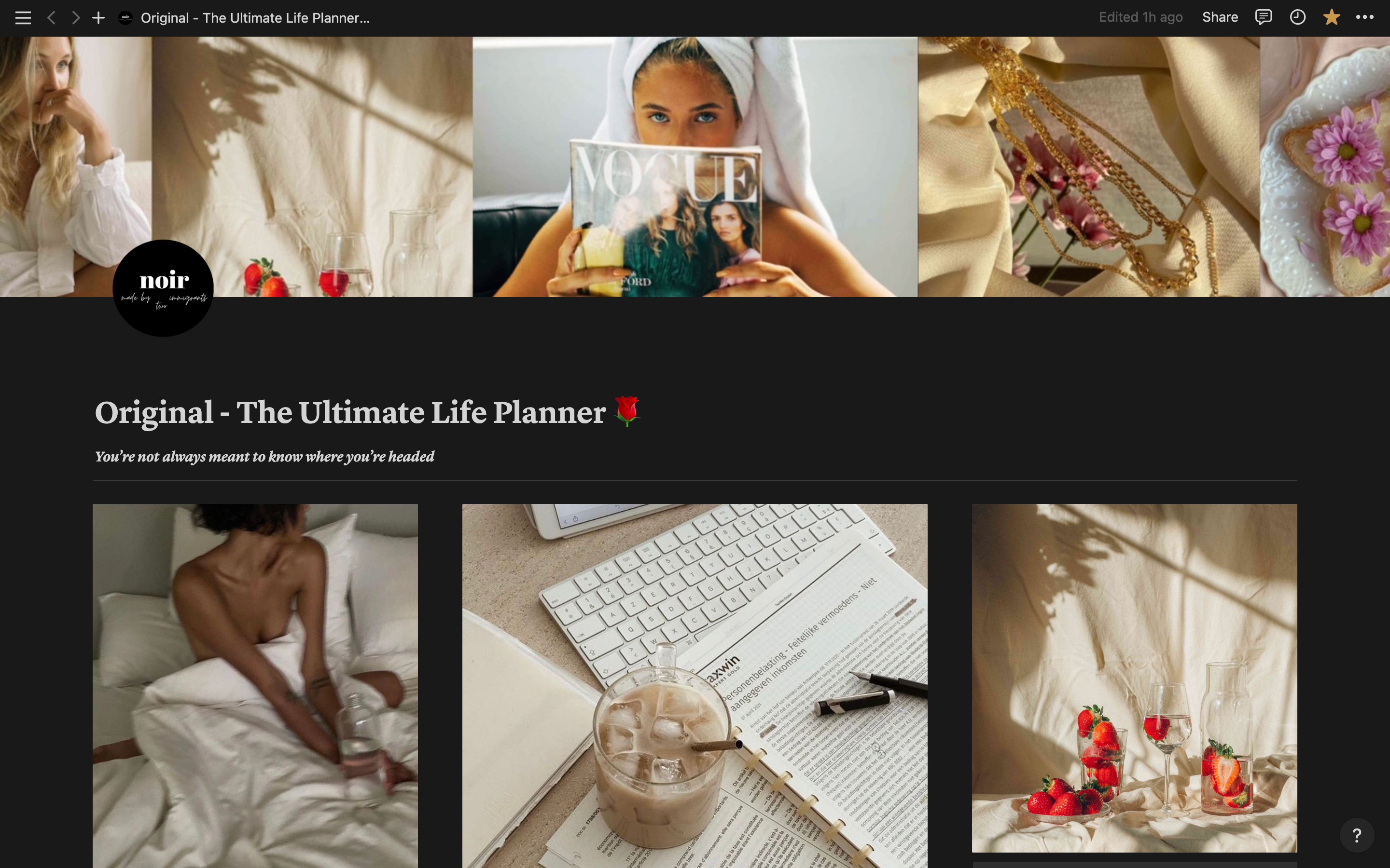 The Ultimate Life Planner - Extended version ( access via notion )